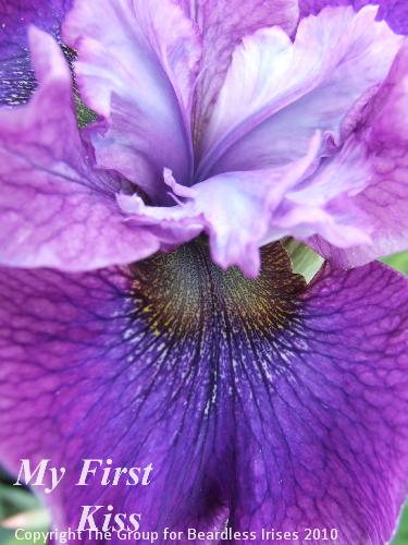 sib My First Kiss (3)